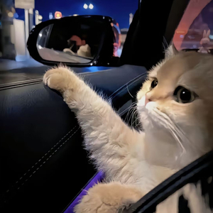 成人黄色免费电影
