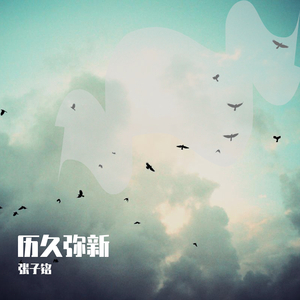 成人黄色免费电影
